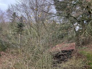 Ferienhaus-stadtkyll-eifel Beim Förster mit zwei Schlafzimmern - 8