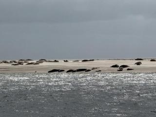 7 person holiday home in Fanø-By Traum - 4