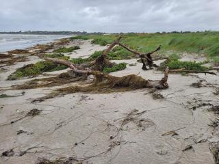 6 person holiday home in Slagelse-By Traum - Slagelse - 6