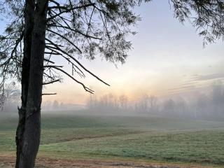 The Farmhouse at Wolfehaven - 1