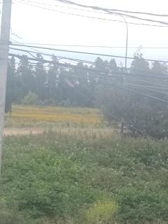 Descansa en la naturaleza con la comodidad de la ciudad - 7