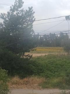 Descansa en la naturaleza con la comodidad de la ciudad - 6