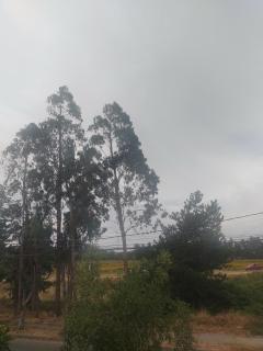 Descansa en la naturaleza con la comodidad de la ciudad - 3