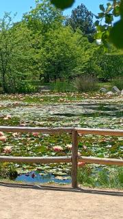 Descansa en la naturaleza con la comodidad de la ciudad - 2