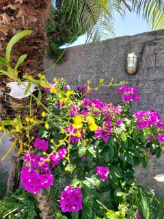 Casa com piscina próxima a praia - 5