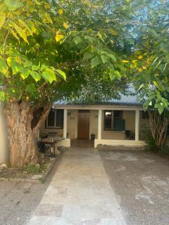 Appartement avec jardin - Avignon - 6