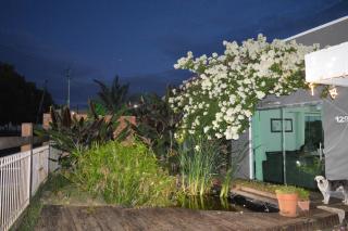 Casa de huéspedes Aruska - 5