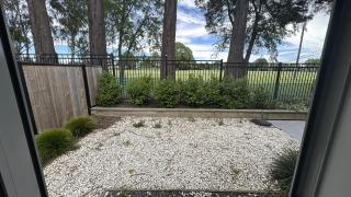 Park Studio at Mohua - 4