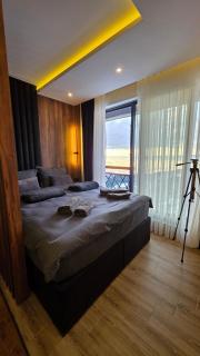 Luxe Horizon & Spa Apartments Kopaonik - 1