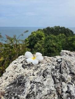 Ayu Blue Lagoon PD by GPH - 0