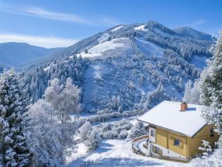 Chalet Huski Viehhofen - Saalbach-Hinterglemm - 9