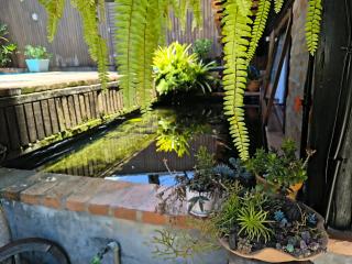 Casa da Lagoa - Gasthaus Pomerode - Pomerode - 5