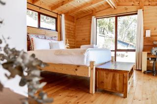 Sunrise Place - Above the Trees - 9