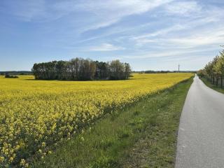 Holiday home with 2 bedrooms - Torgelow am See - 9