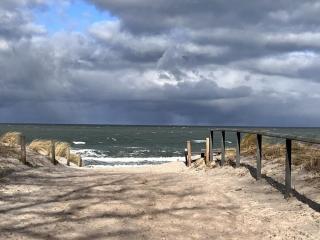 Holiday apartment with 1 bedroom - Zingst - 9