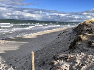 Holiday apartment with 1 bedroom - Zingst - 8