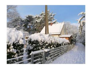 Apartment with 1 bedroom - 2