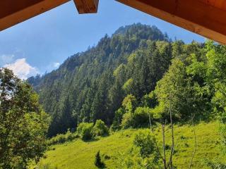 Holiday home in Pfronten with swimming pool - 1