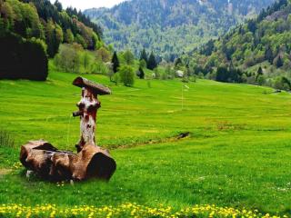 Holiday apartment with 1 bedroom - 3