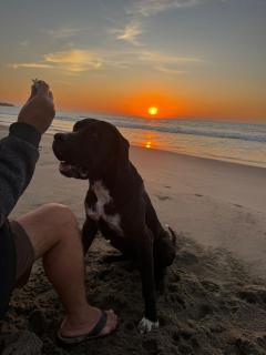 VITSA 180 Los Órganos - 8