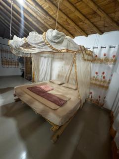 VITSA 180 Los Órganos - 7