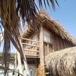 VITSA 180 Los Órganos - 6