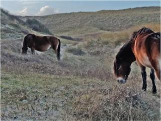 "Studio by the Water" - 0