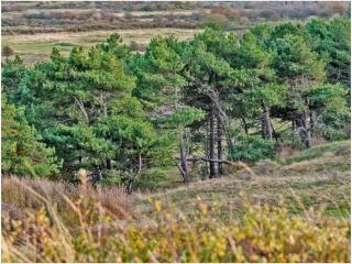 "Studio by the Water" - 4