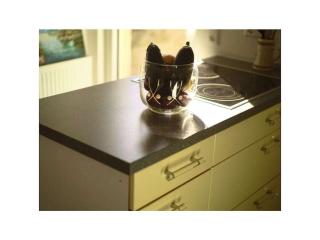 Holiday home with 1 bedroom - 4