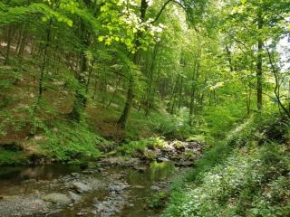 Apartment with 1 bedroom - 6