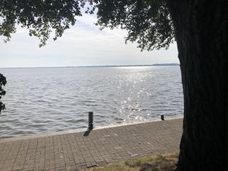 Holiday home in Mardorf with swimming pool - 6