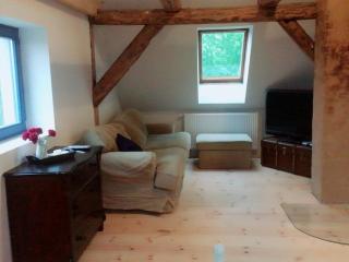 2 with large garden, playground and pool - 1