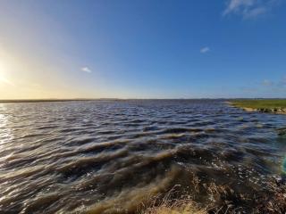 Holiday home Ebbe with dog up to 14 people - 4