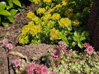 Holiday home Korn am Bärensteig - 2