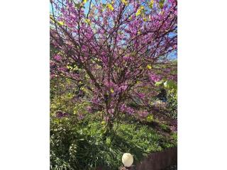 Holiday home Korn am Bärensteig - 1