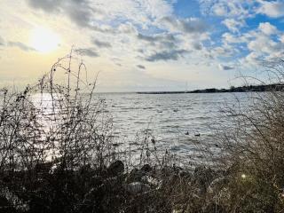 Penthouse sea view - Lauterbach - 3