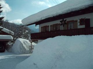 Hoher Göll in Punzenlehen - 8