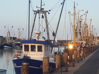 Holiday home in Büsum with swimming pool - 6