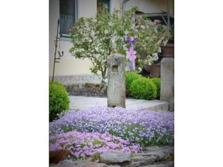 Holiday apartment with 1 bedroom - 1