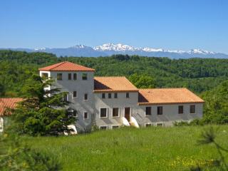 Marsanne or Grenache - 6