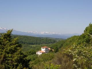 Marsanne or Grenache - 5