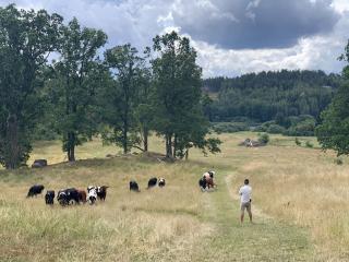 Häradssätter gård 4 - 8