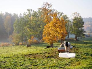 Häradssätter gård 4 - 6