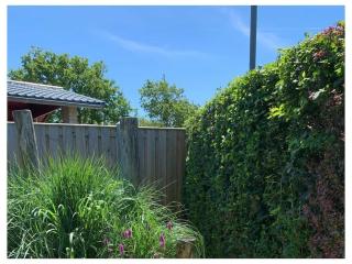 Bungalow in Zoutelande with swimming pool - 3