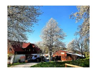 Holiday home in Windeck with barbecue - 3