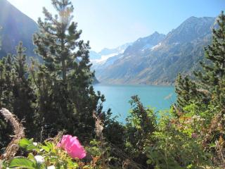 Holiday apartment Tristnerblick in the Huaterhof - 4