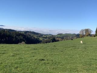 Willmannshof holiday apartment Barn Nest - 6