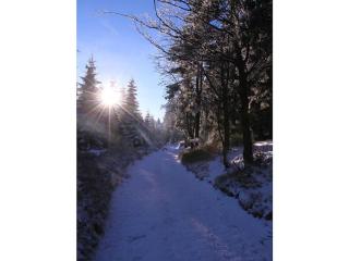 Holiday home in Gehlberg with swimming pool - Gehlberg - 3