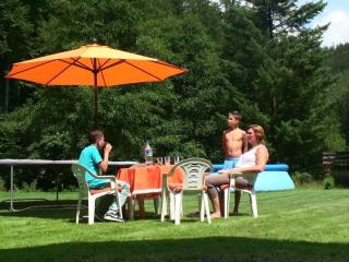 Holiday home in Gehlberg with swimming pool - 8