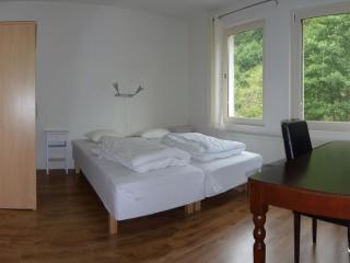 Holiday home in Gehlberg with swimming pool - 1